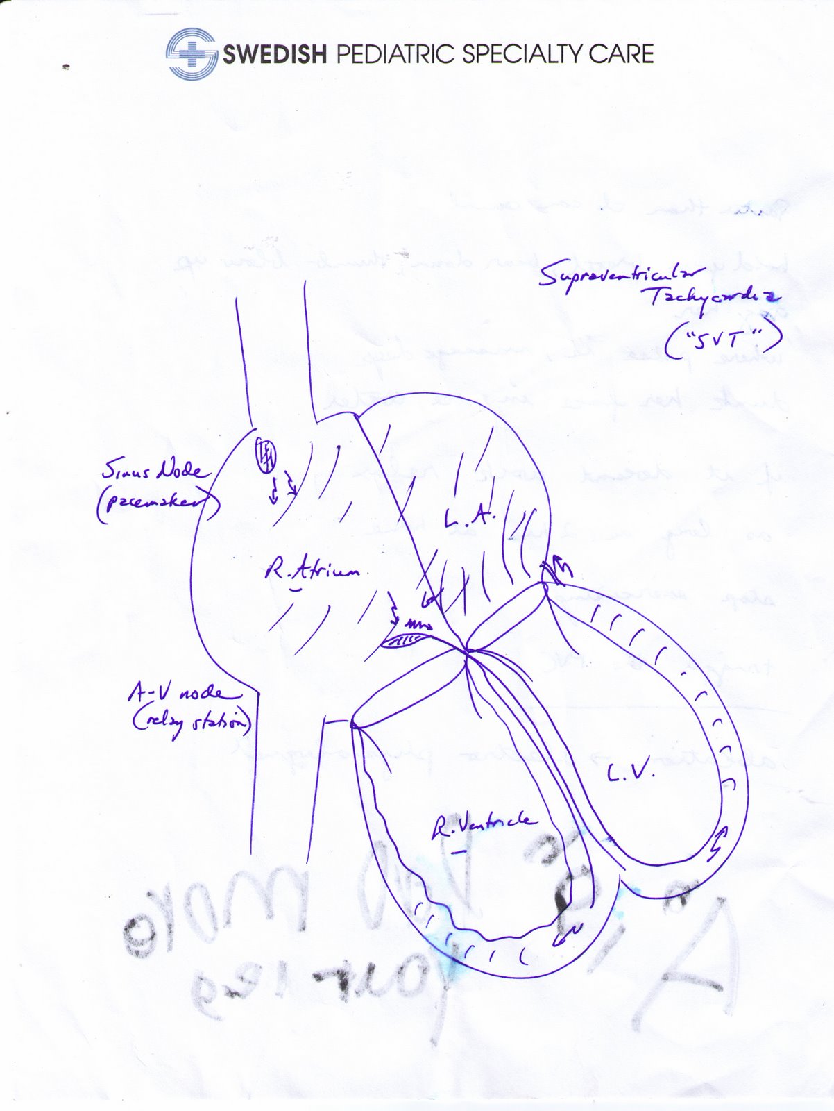 Pediatric cardiologist