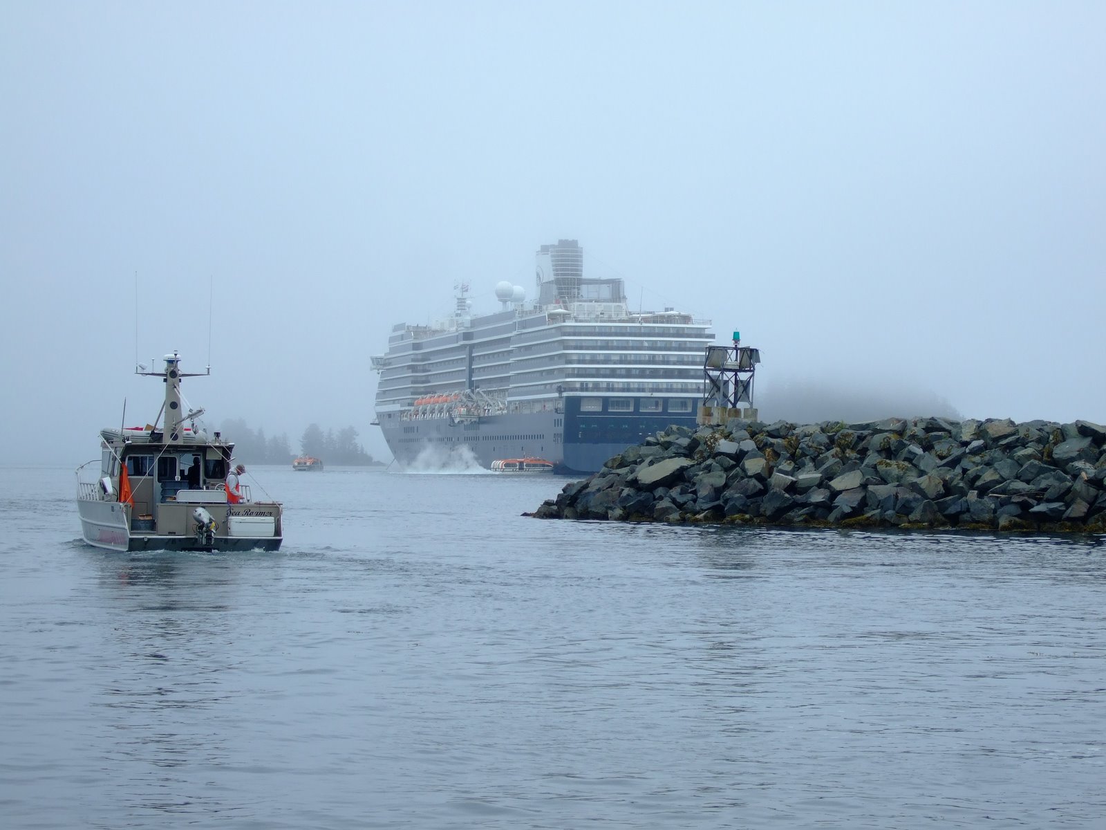 The Westerdam sized up