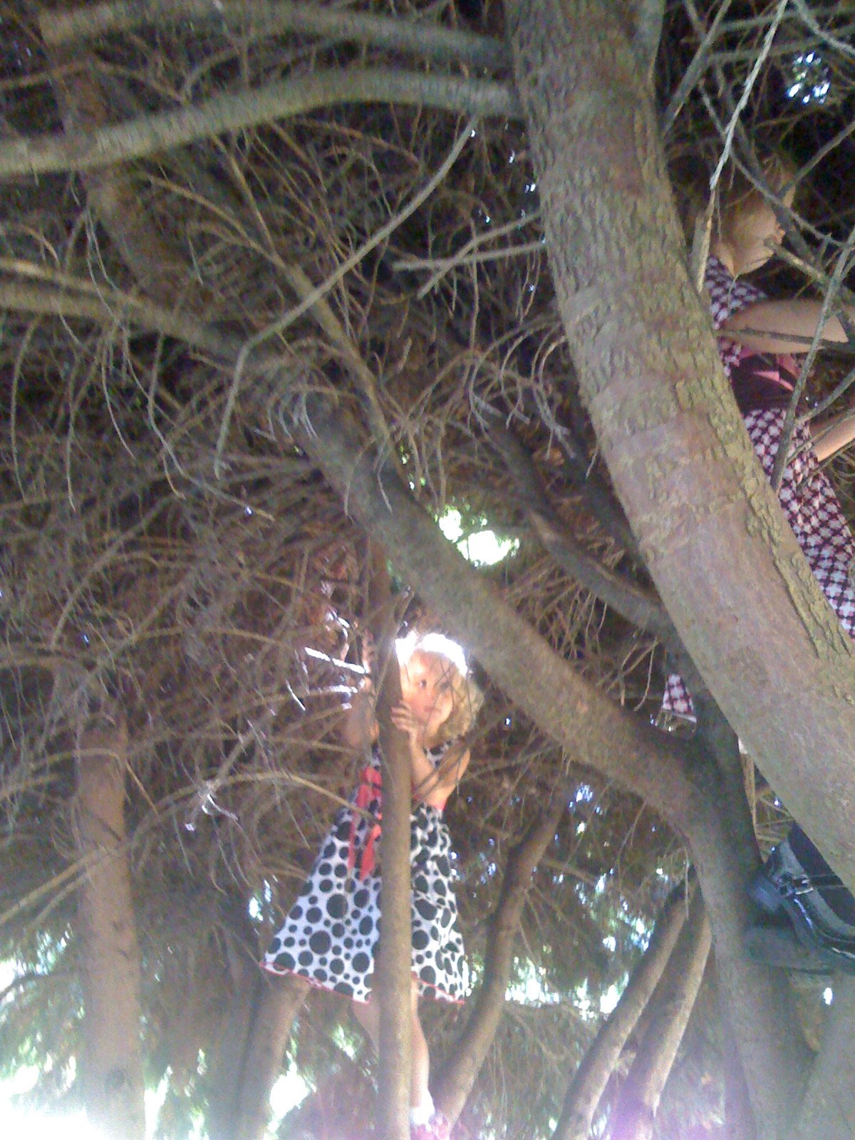 Great bush fun