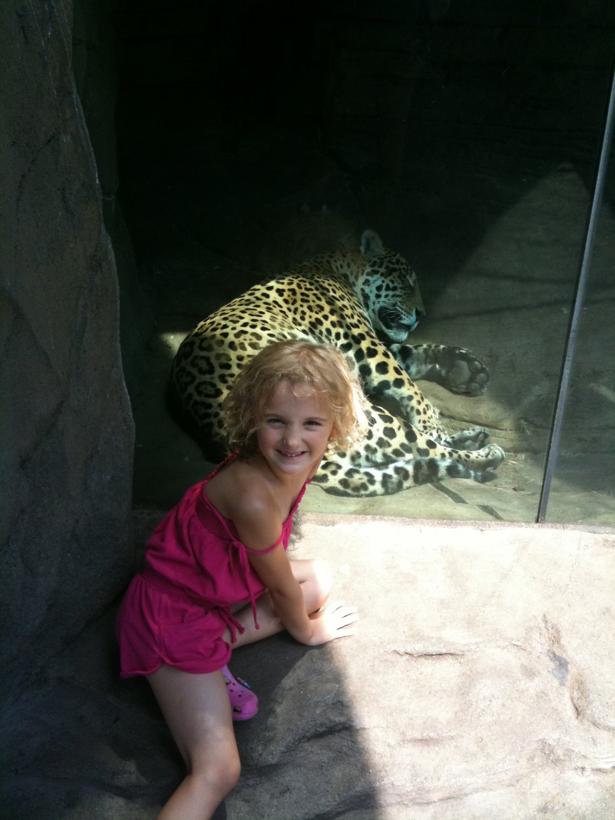 zoo during the heat wave