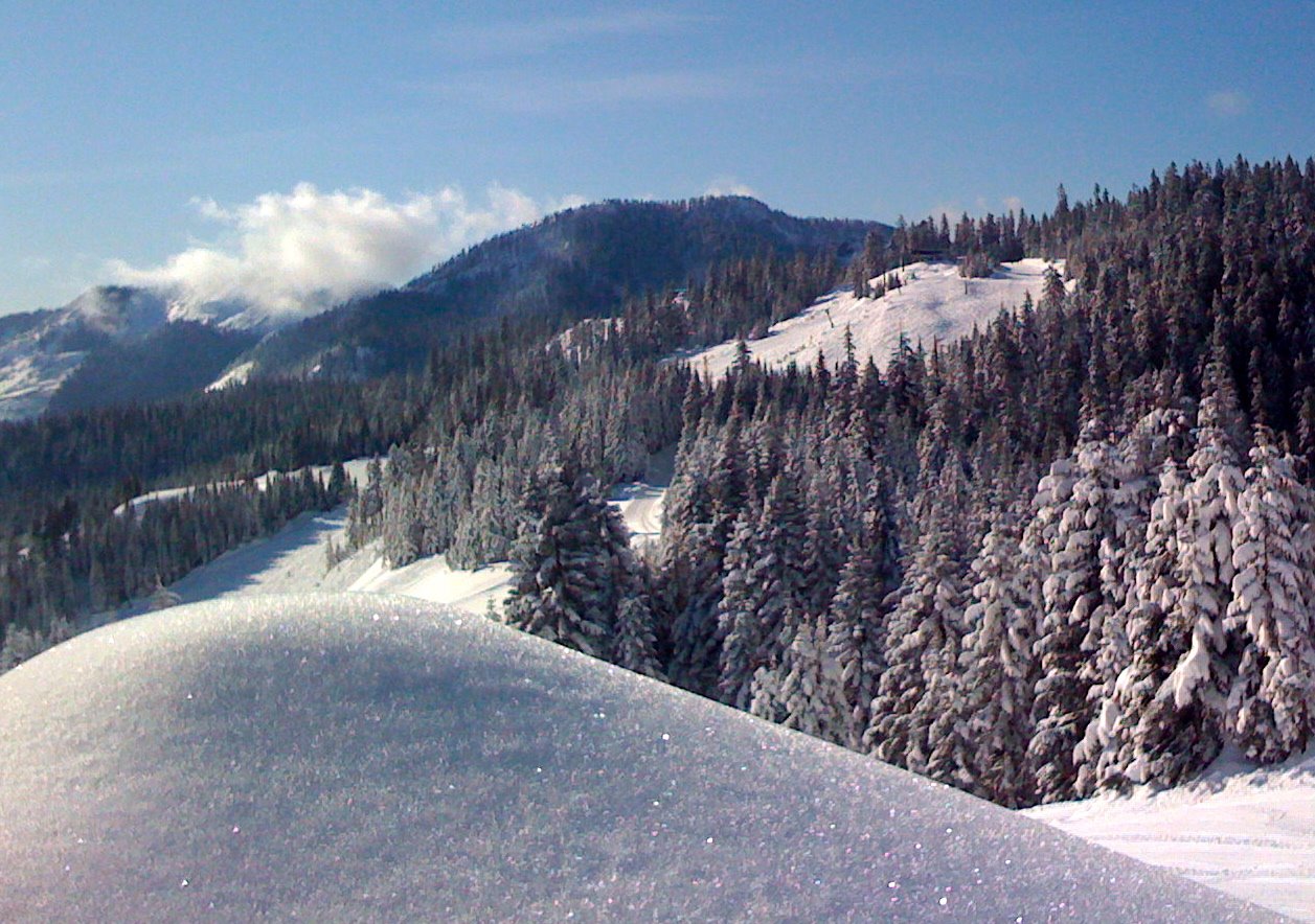 Fresh powder