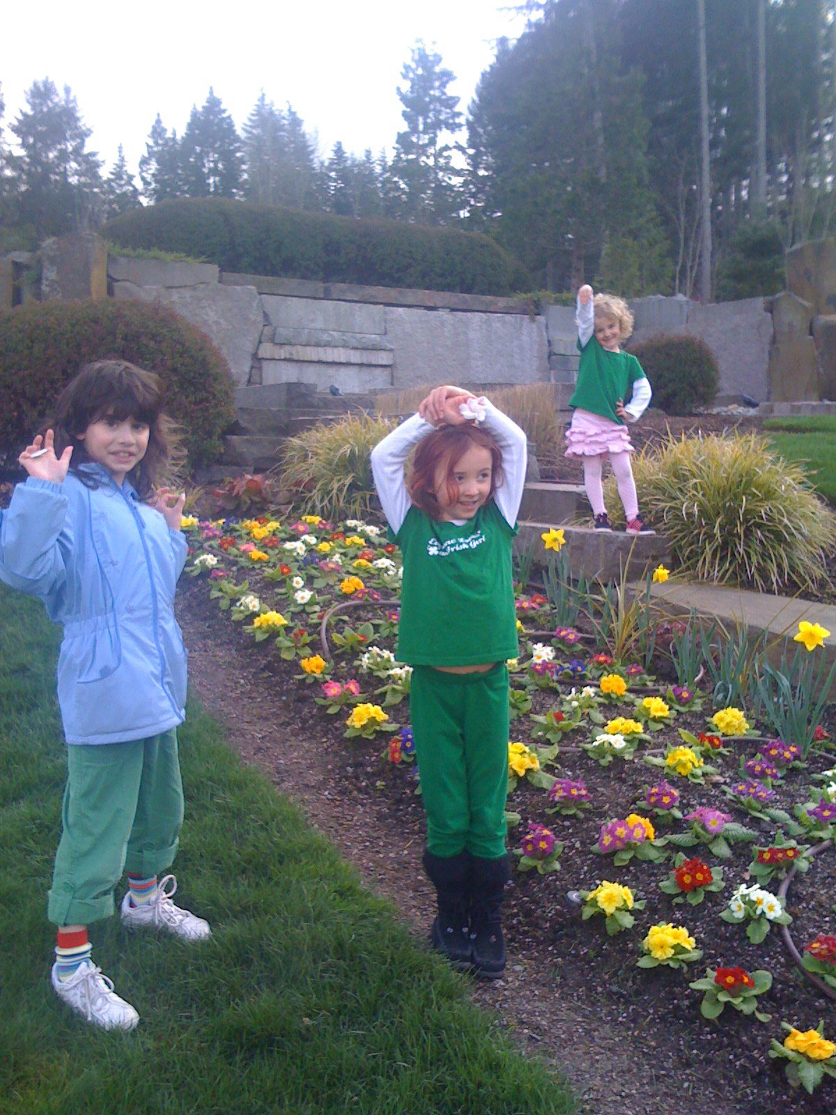 Flowers a bloomin.