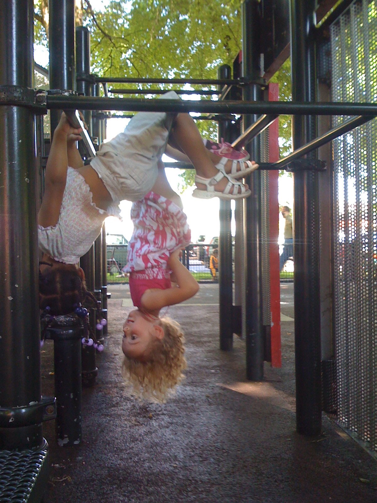 Dahlia’s new trick