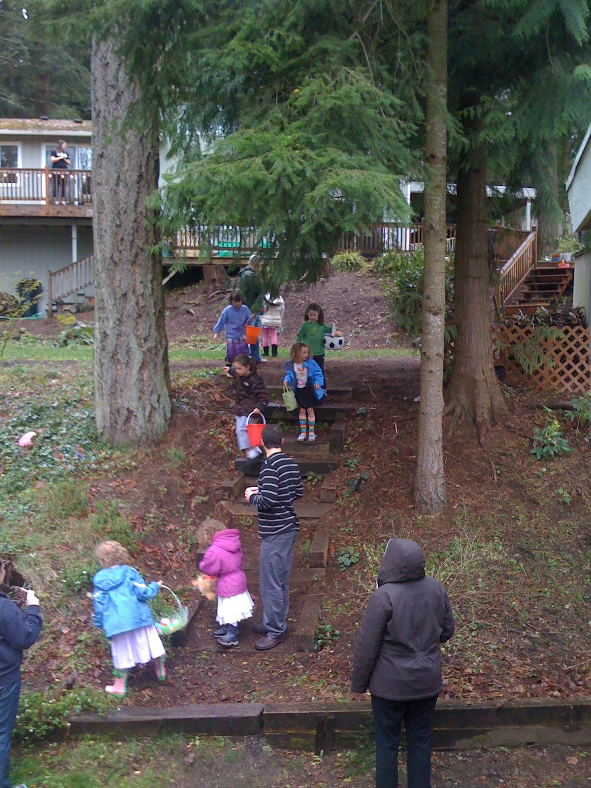 The golden egg hunt