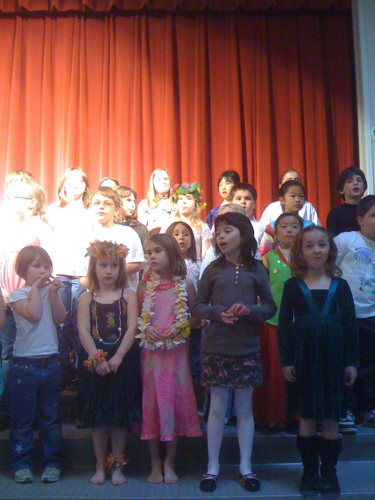 Multicultural fest