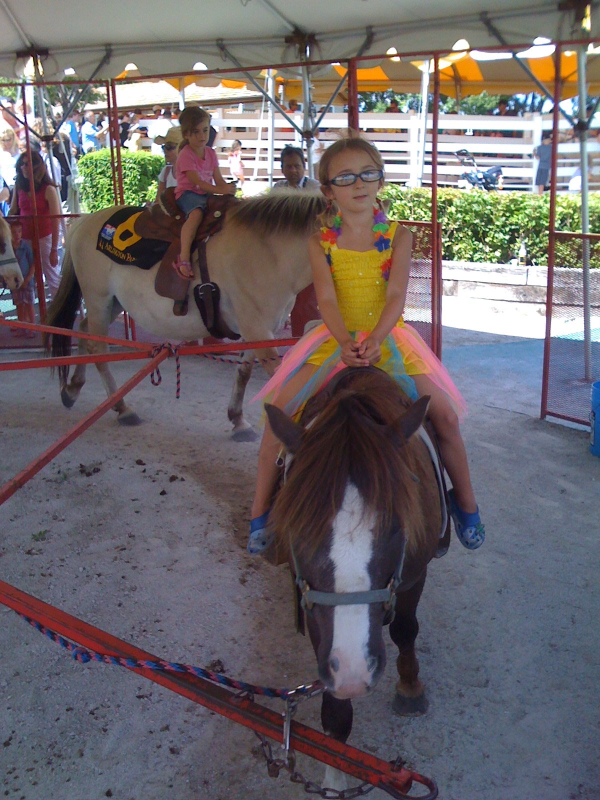 Pony rides