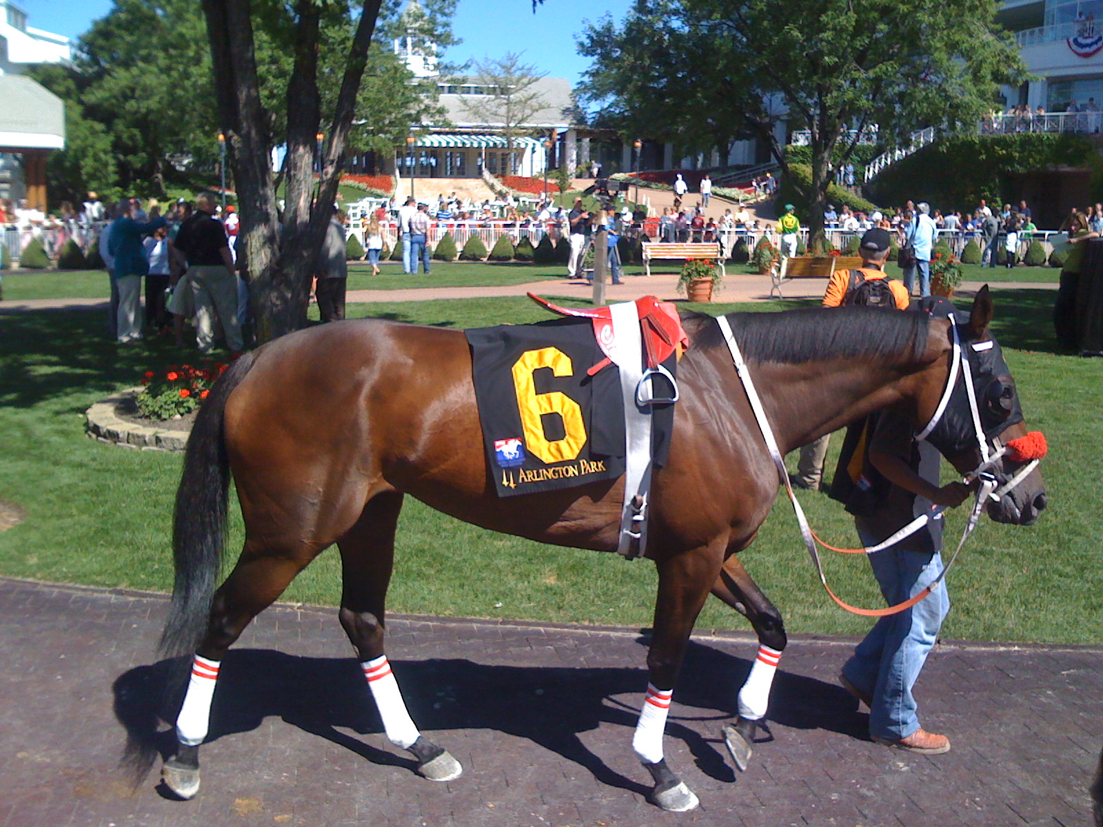 Betting at the track