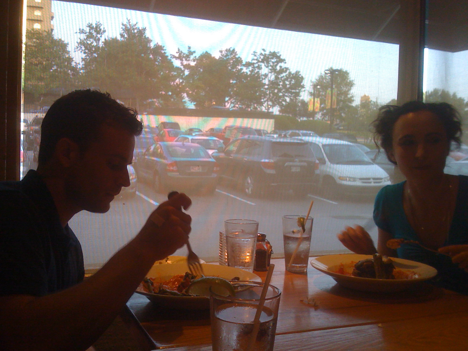 Sunflower cafe