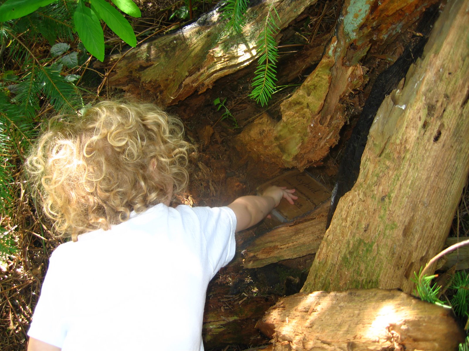 Geocaching