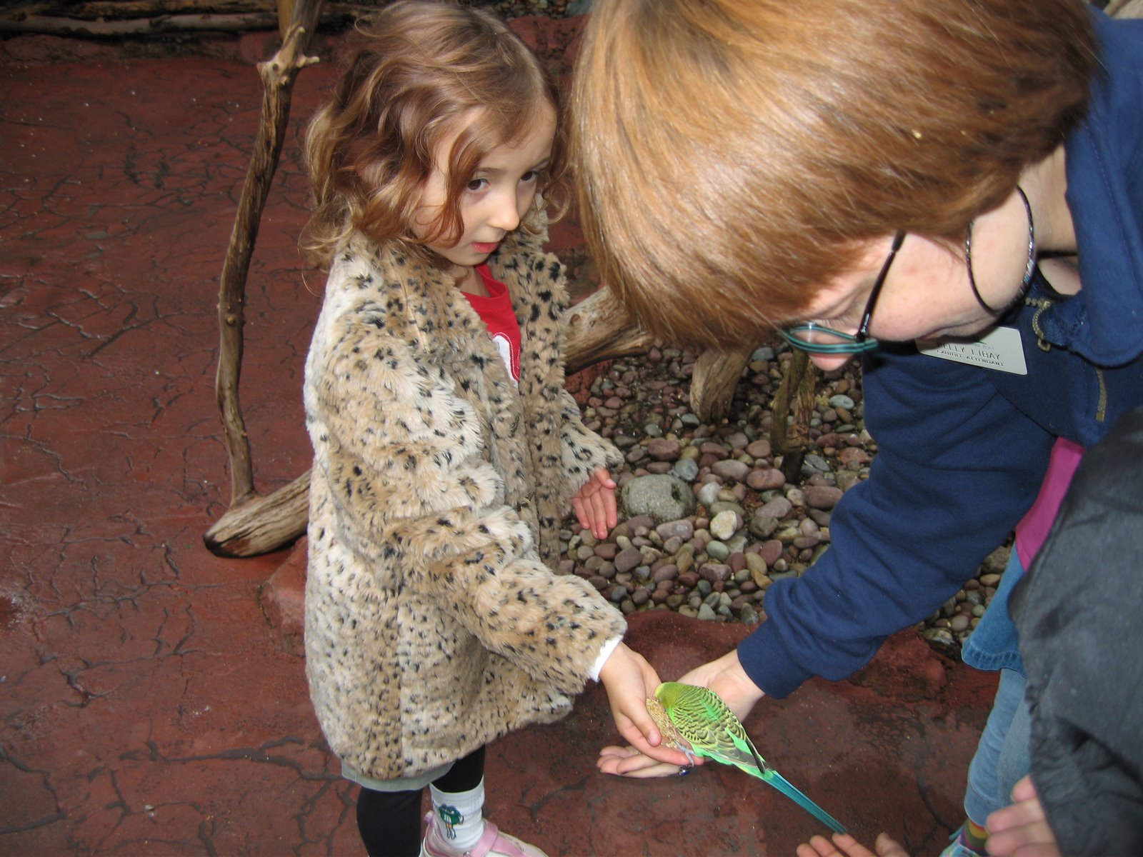 Zoo trip with Monti’s class
