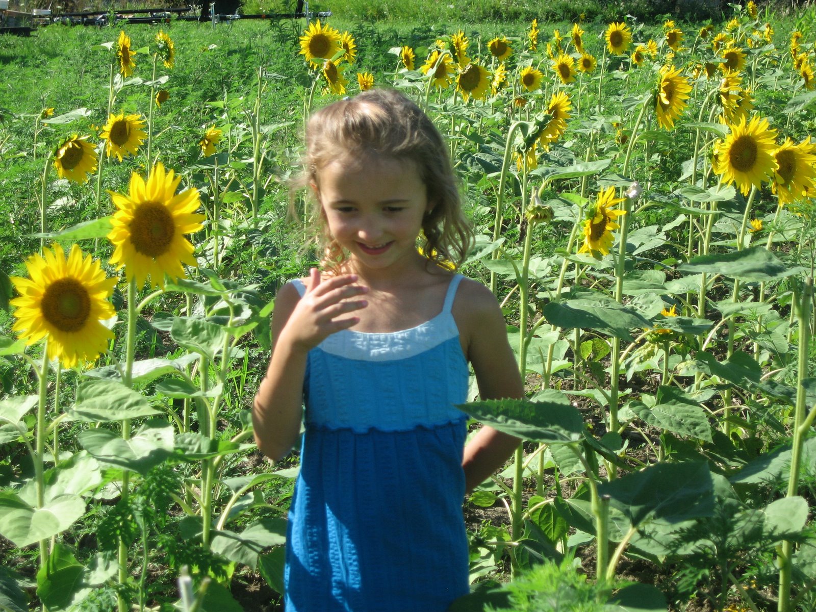 Monti in the flower field – extremely nervous