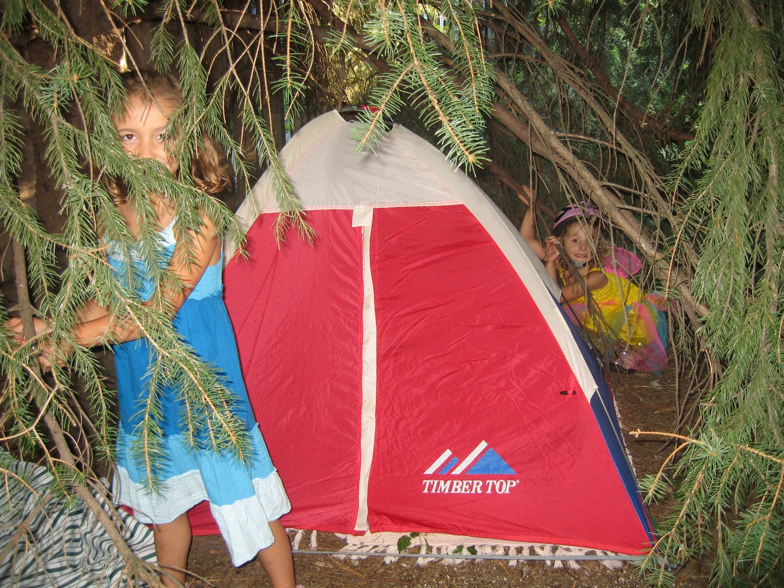Secret hideout in grandma’s backyard
