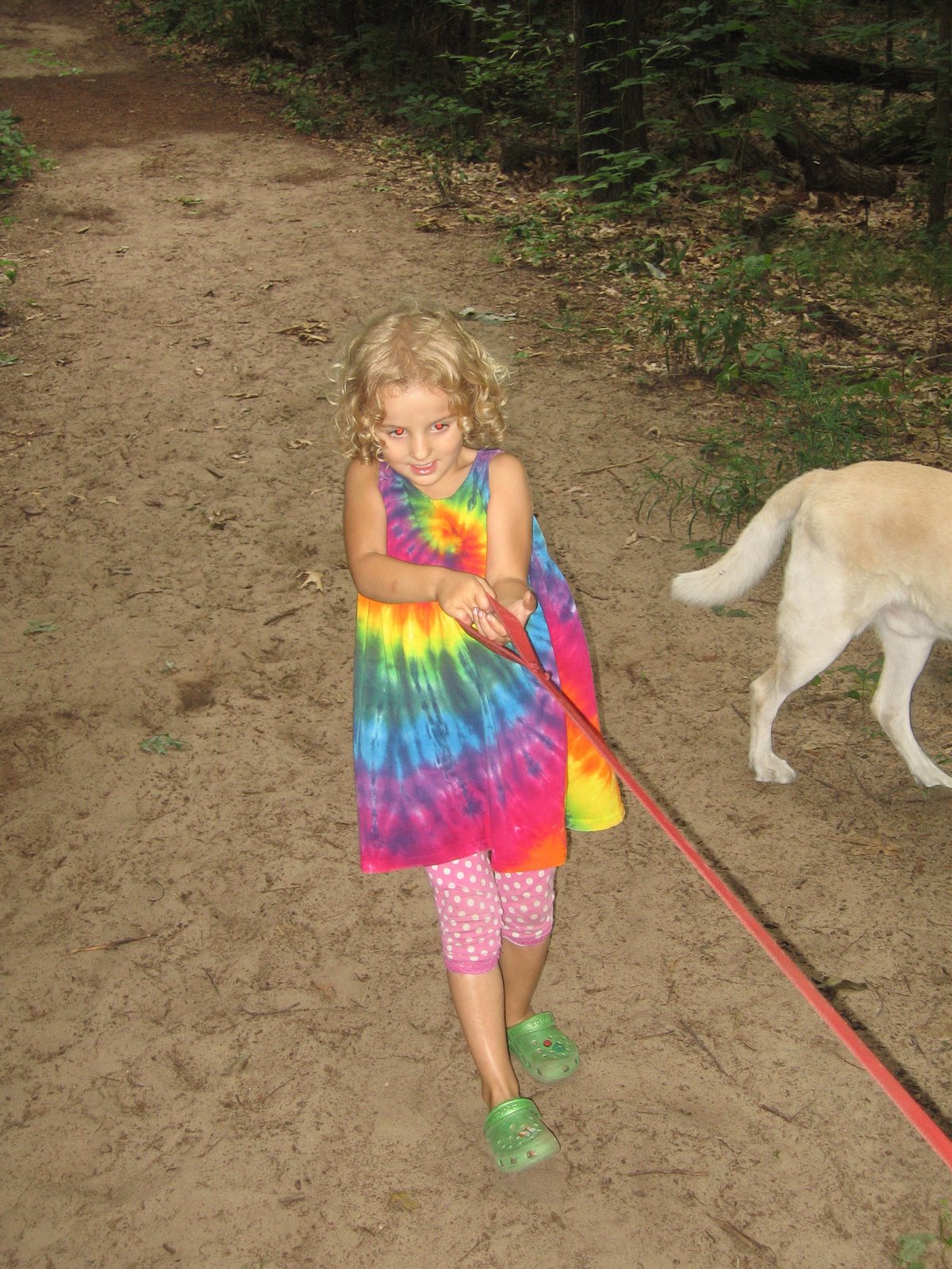 Walking the dogs