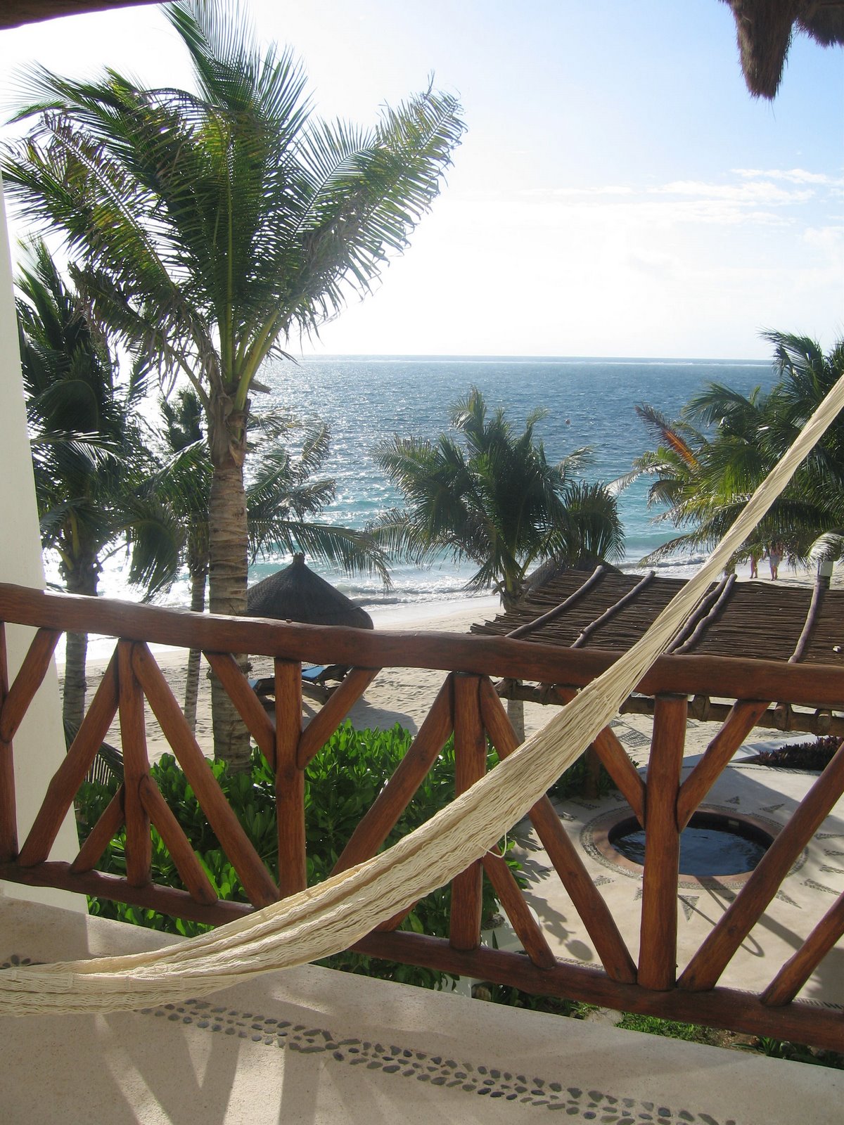 Ceiba del Mar