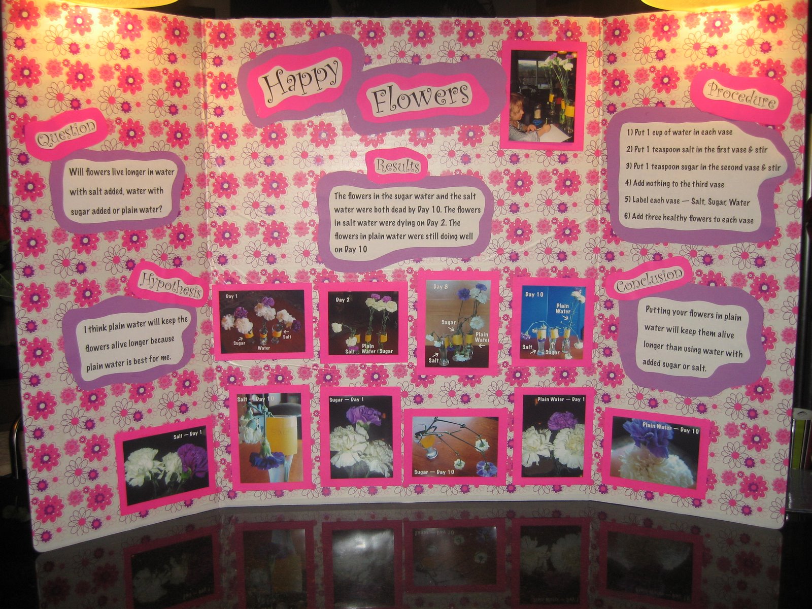 Dahlia’s science fair
