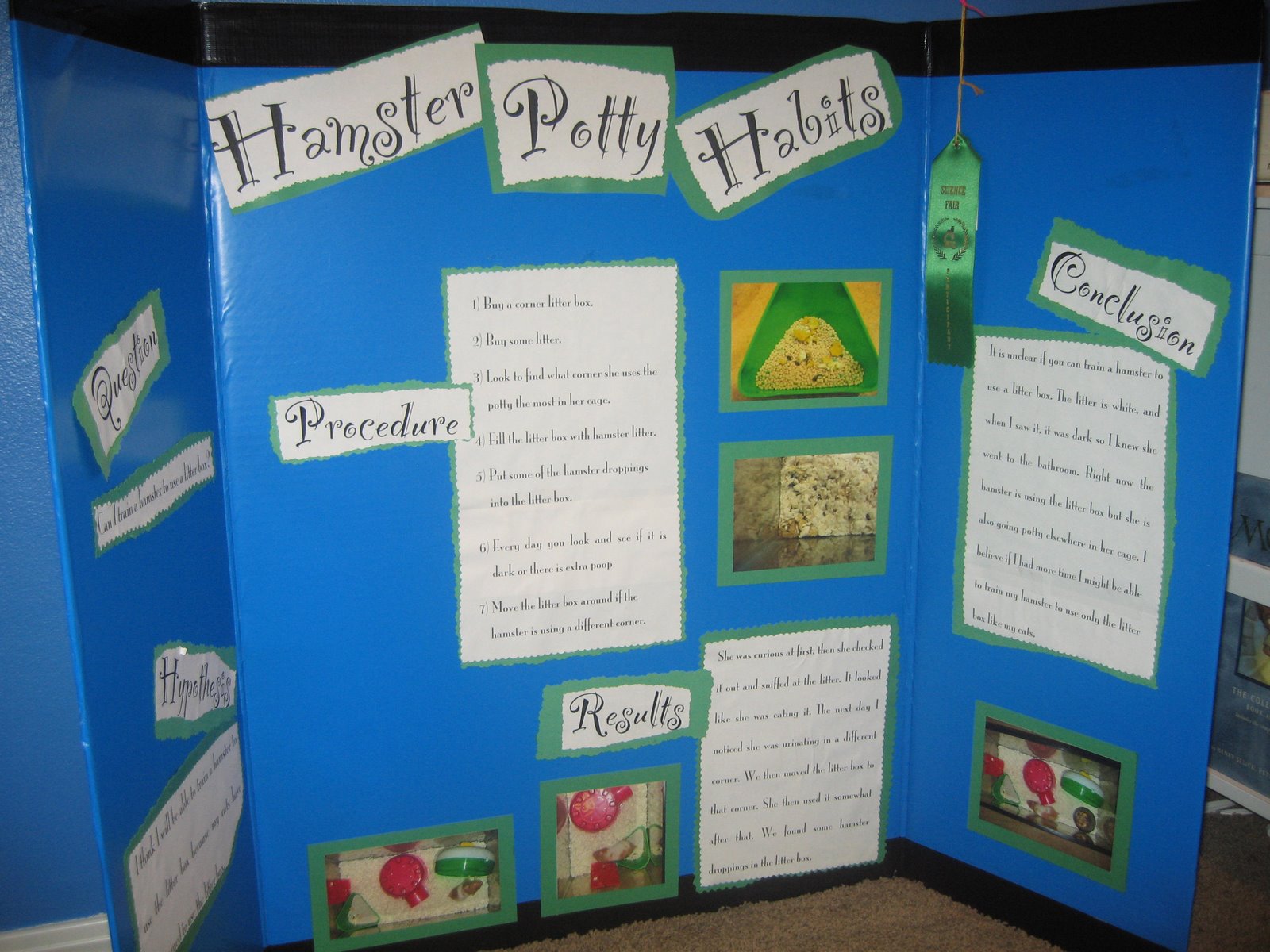 Monti’s science fair