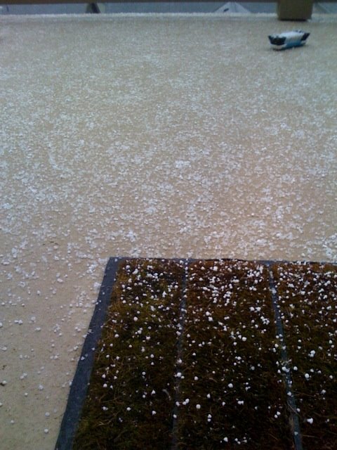 Hail in Issaquah