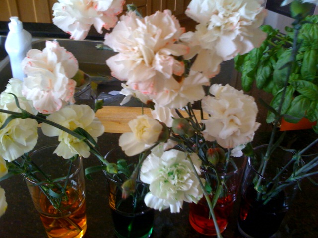 Flower science